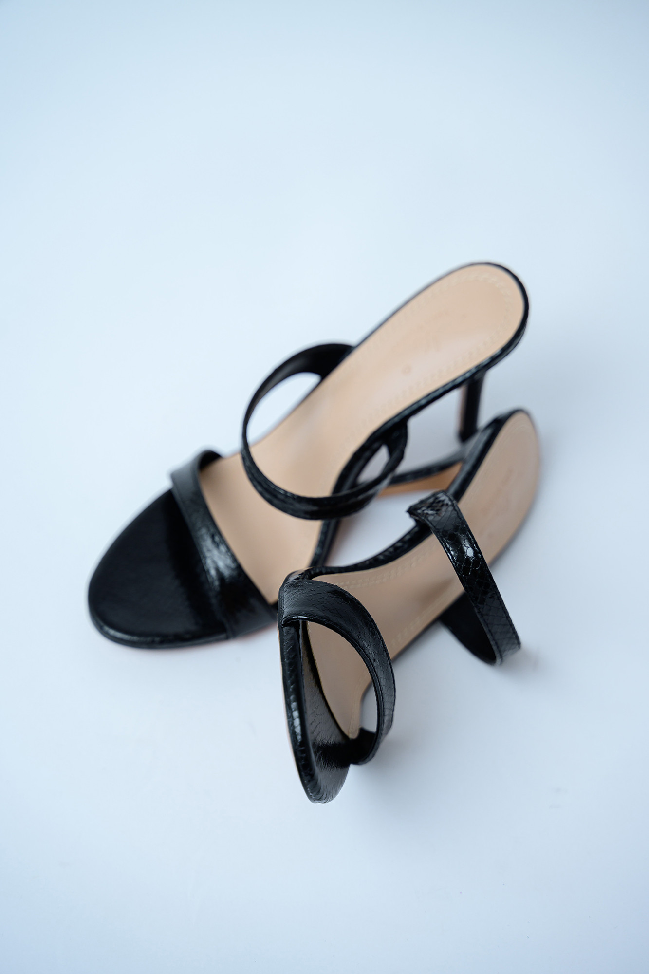 Galia Mules - Image 5