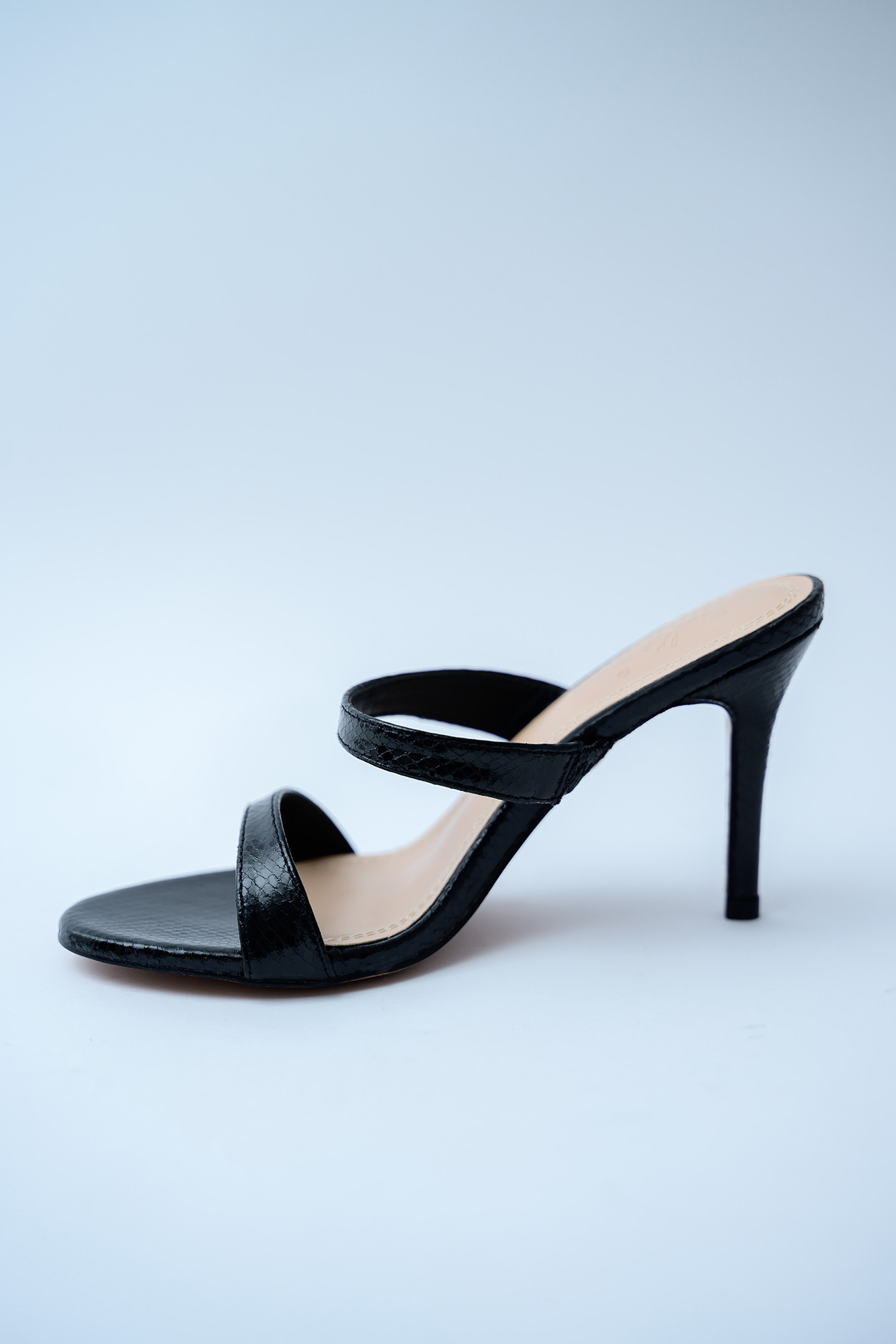 Galia Mules - Image 6